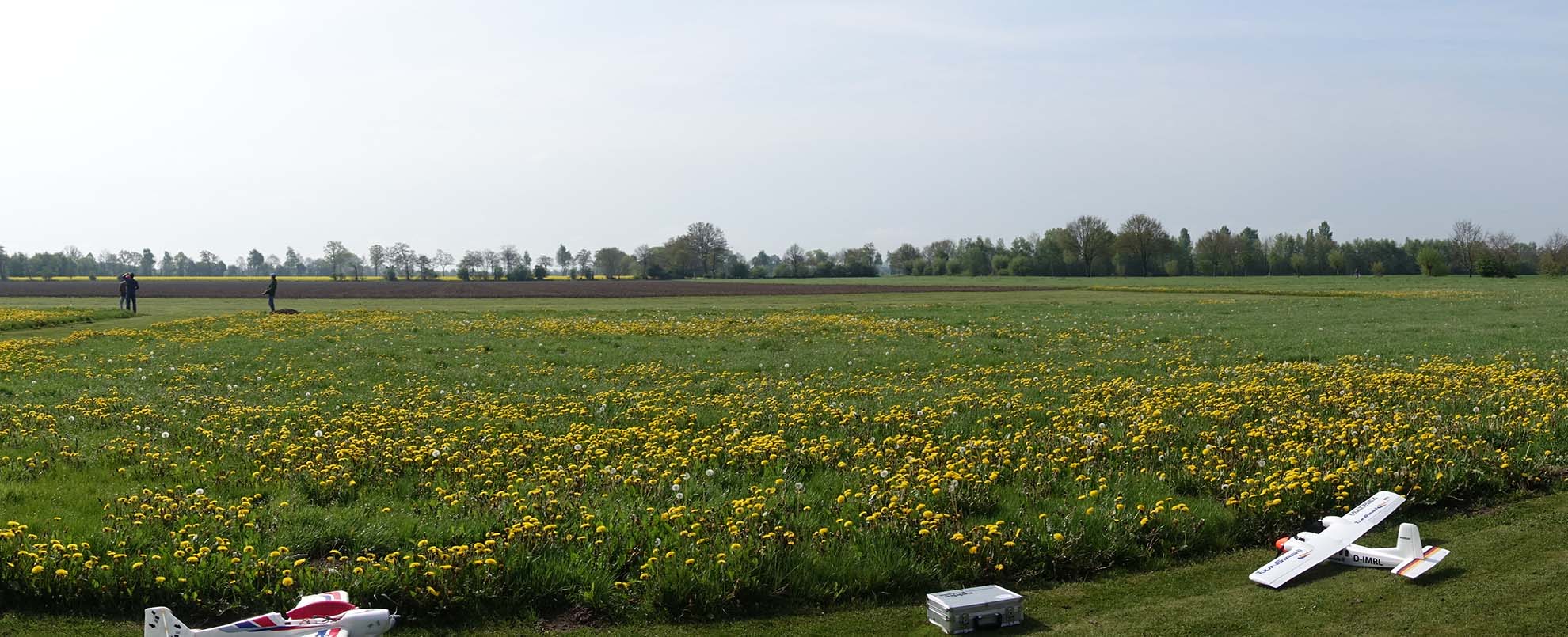 Eine Blumenwiese. Davor stehen zwei Modellflugzeuge und ein Koffer